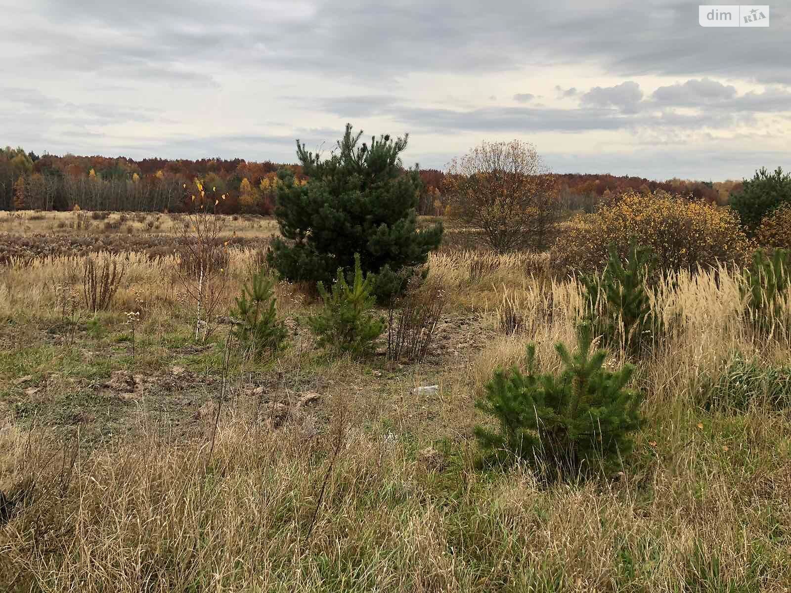 Оренда землі сільськогосподарського призначення в Павлівці, ціна: 13 996 грн за об’єкт фото 1