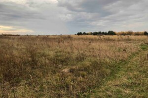 Оренда землі сільськогосподарського призначення в Павлівці, ціна: 13 996 грн за об’єкт фото 2