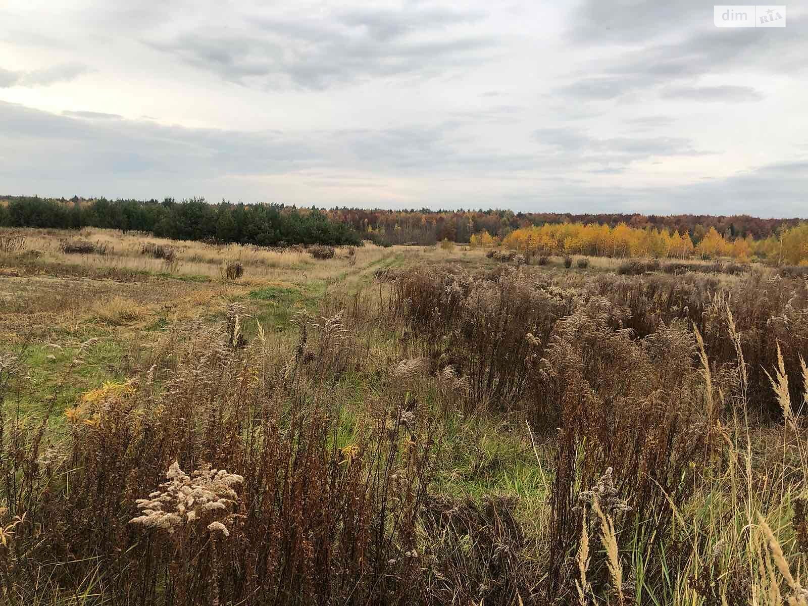 Оренда землі сільськогосподарського призначення в Павлівці, ціна: 13 996 грн за об’єкт фото 1