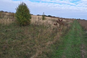 Аренда земли сельскохозяйственного назначения в Пищатинцах, цена: 6 813 грн за объект фото 2