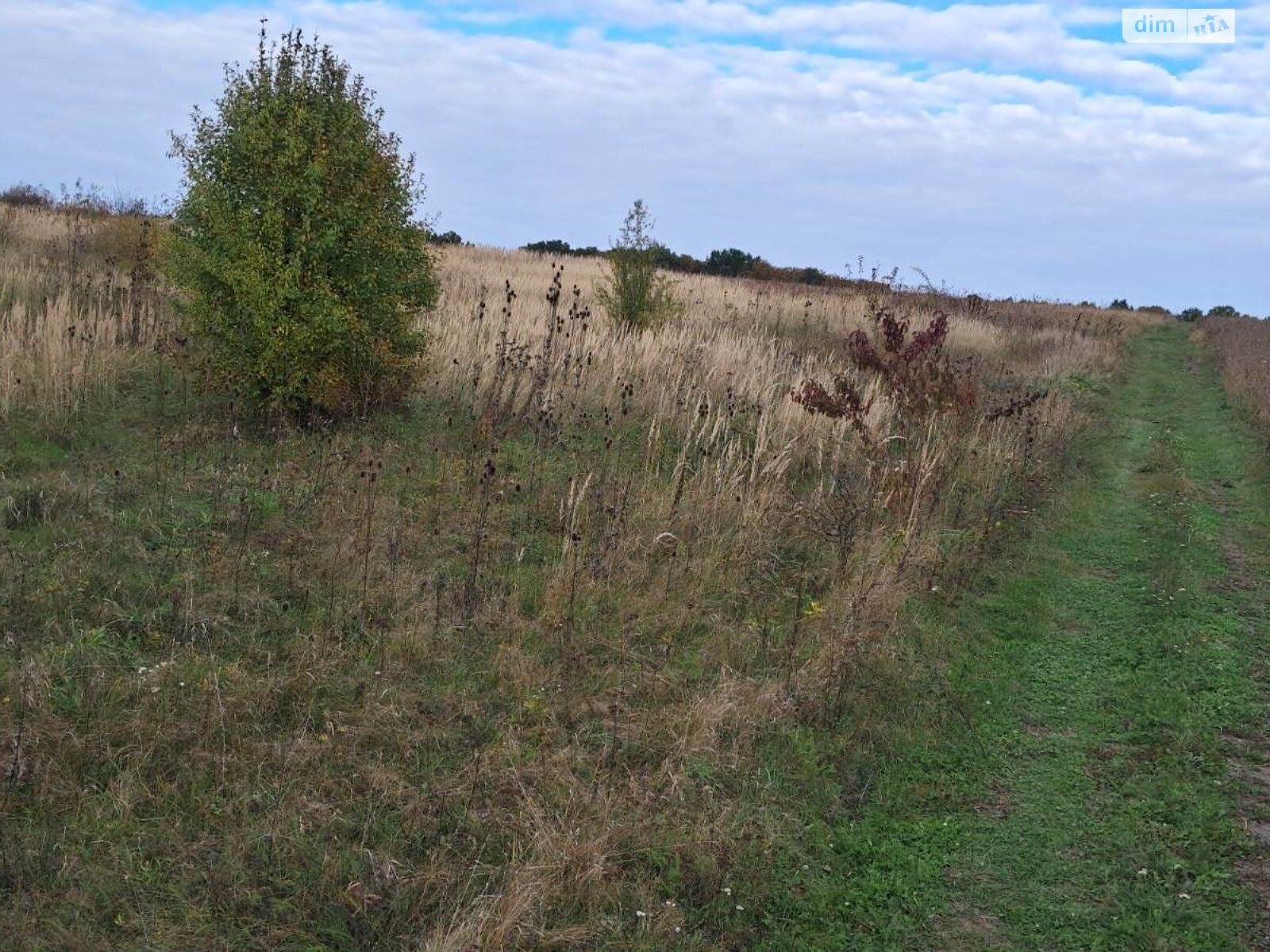 Аренда земли сельскохозяйственного назначения в Пищатинцах, цена: 6 813 грн за объект фото 1