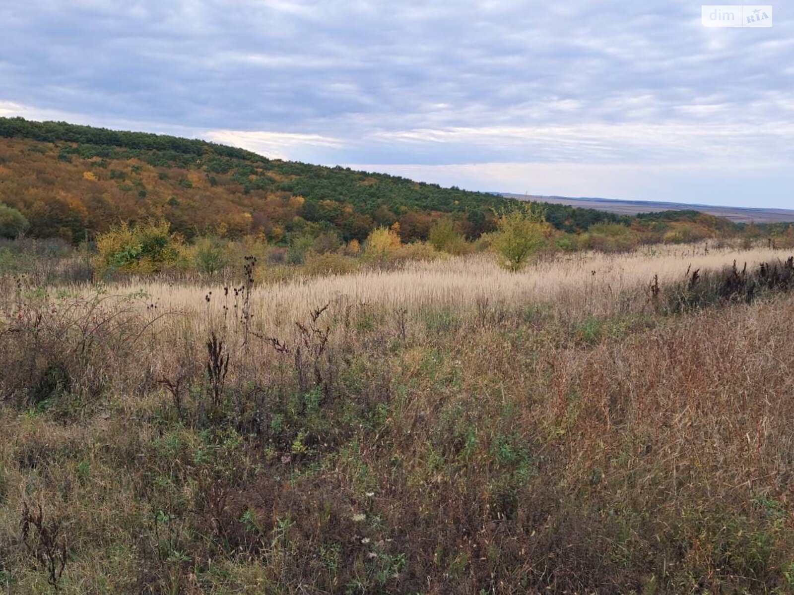 Аренда земли сельскохозяйственного назначения в Пищатинцах, цена: 6 813 грн за объект фото 1