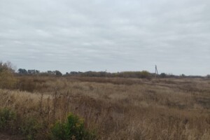 Аренда земли сельскохозяйственного назначения в Побережье, цена: 14 230 грн за объект фото 1 Аренда земли сельскохозяйственного назначения в Побережье, цена: 14 230 грн за объект фото 1