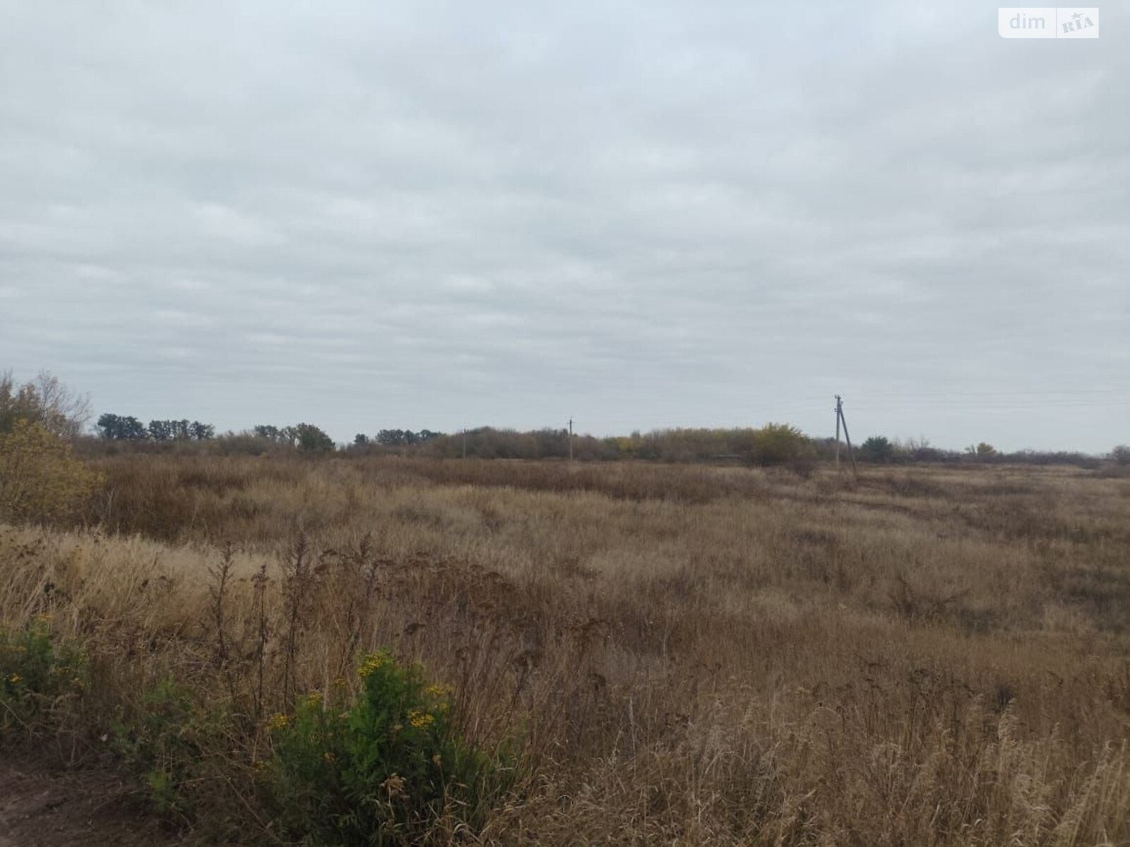 Аренда земли сельскохозяйственного назначения в Побережье, цена: 14 230 грн за объект фото 1 Аренда земли сельскохозяйственного назначения в Побережье, цена: 14 230 грн за объект фото 1