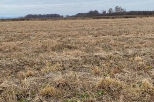 Аренда земли сельскохозяйственного назначения в Побережье, цена: 22 238 грн за объект фото 1