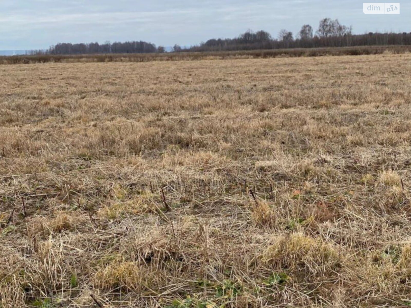 Аренда земли сельскохозяйственного назначения в Побережье, цена: 22 238 грн за объект фото 1