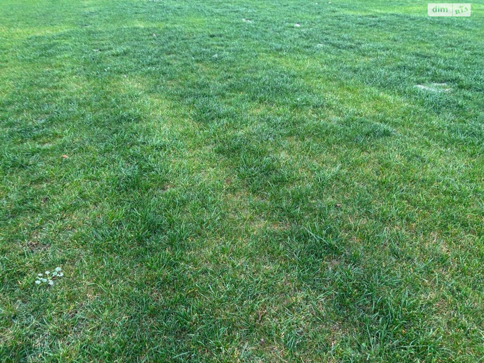 Оренда землі сільськогосподарського призначення в Покровському, ціна: 29 058 грн за об’єкт фото 1