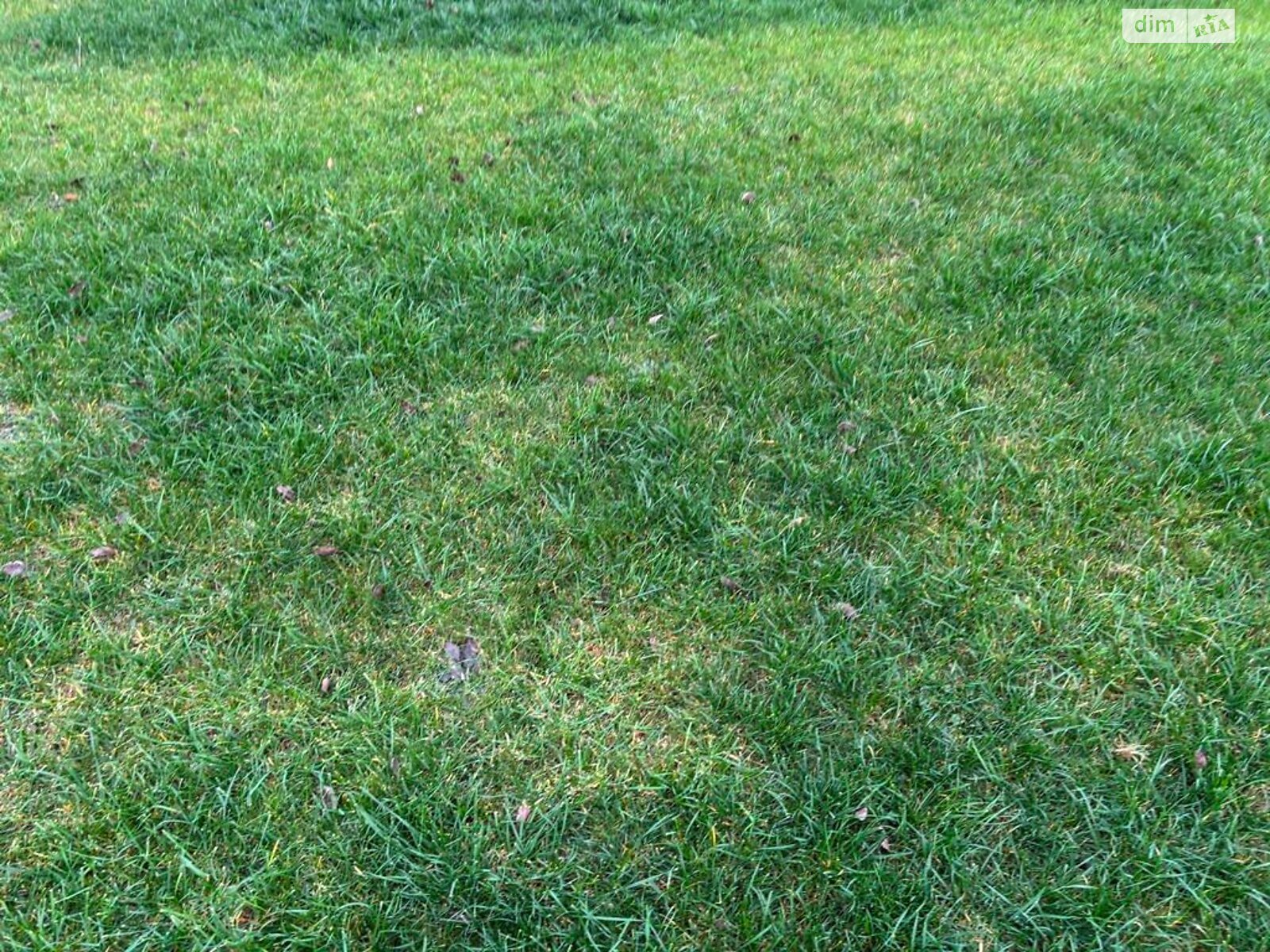 Оренда землі сільськогосподарського призначення в Покровському, ціна: 40 328 грн за об’єкт фото 1