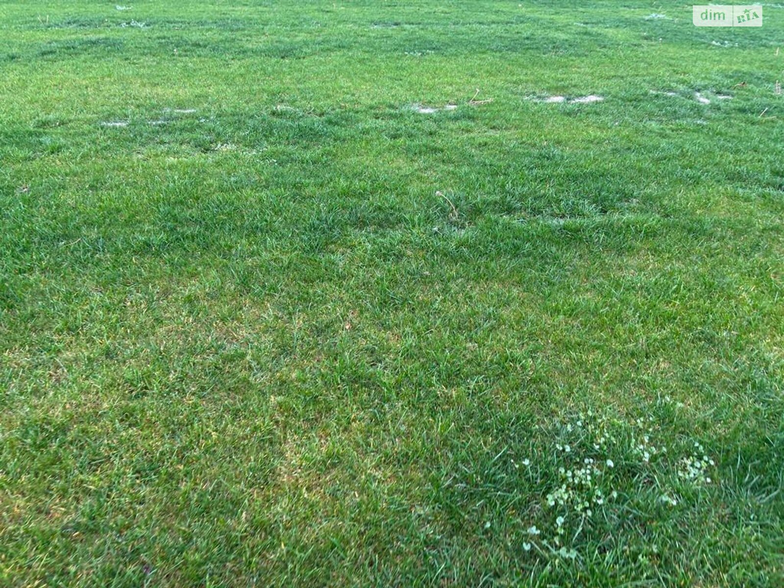 Оренда землі сільськогосподарського призначення в Покровському, ціна: 29 058 грн за об’єкт фото 1