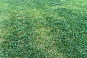 Оренда землі сільськогосподарського призначення в Покровському, ціна: 15 172 грн за об’єкт фото 2