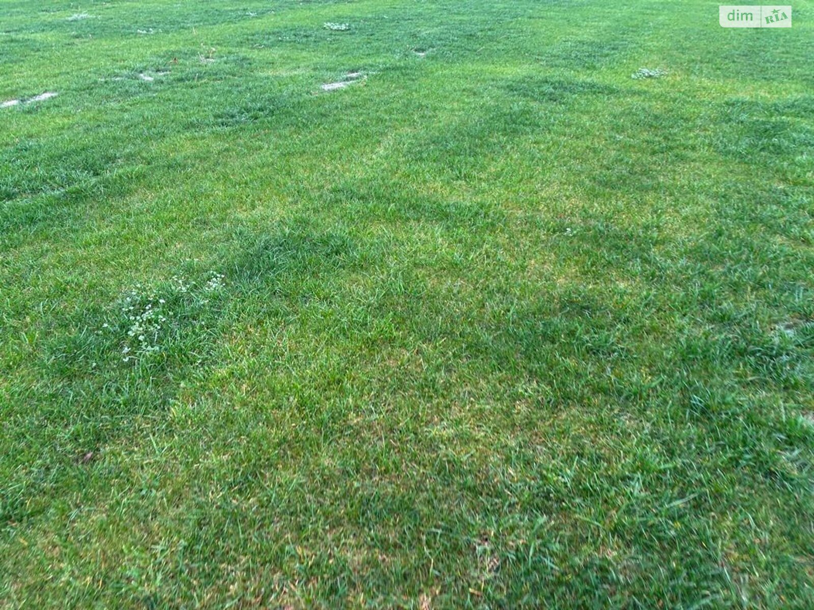 Оренда землі сільськогосподарського призначення в Покровському, ціна: 29 058 грн за об’єкт фото 1