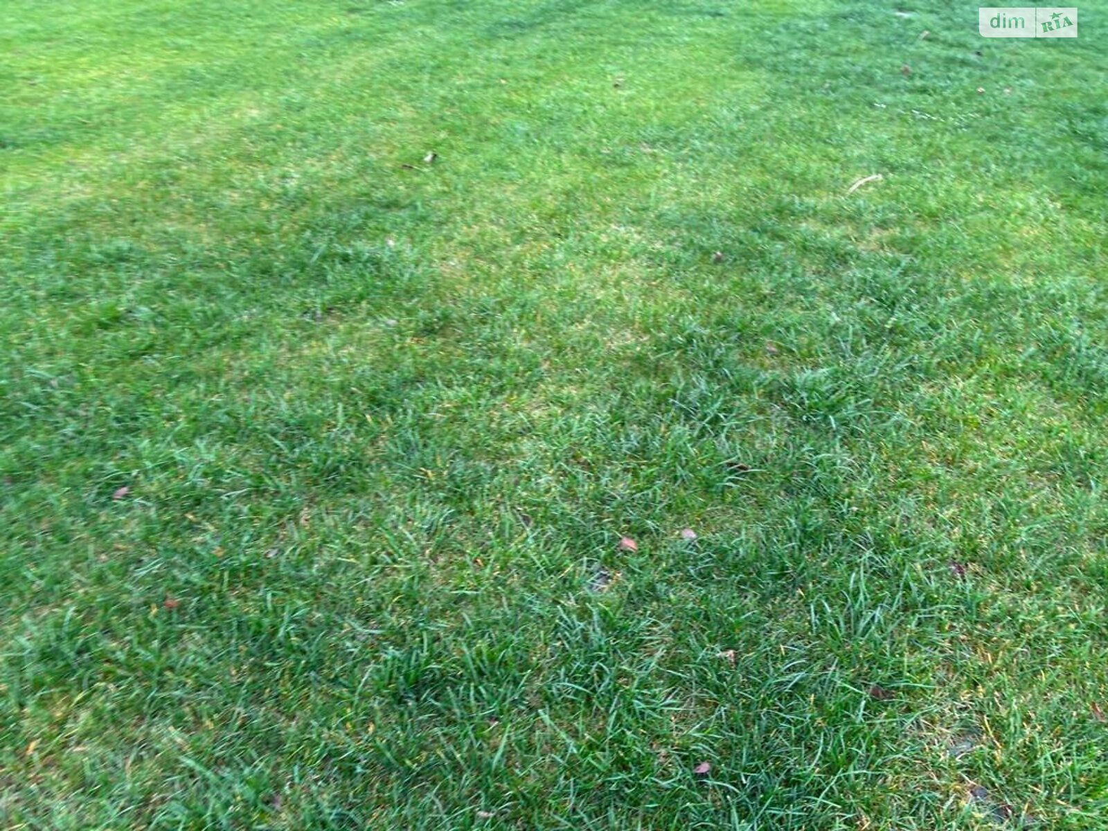 Оренда землі сільськогосподарського призначення в Покровському, ціна: 40 328 грн за об’єкт фото 1