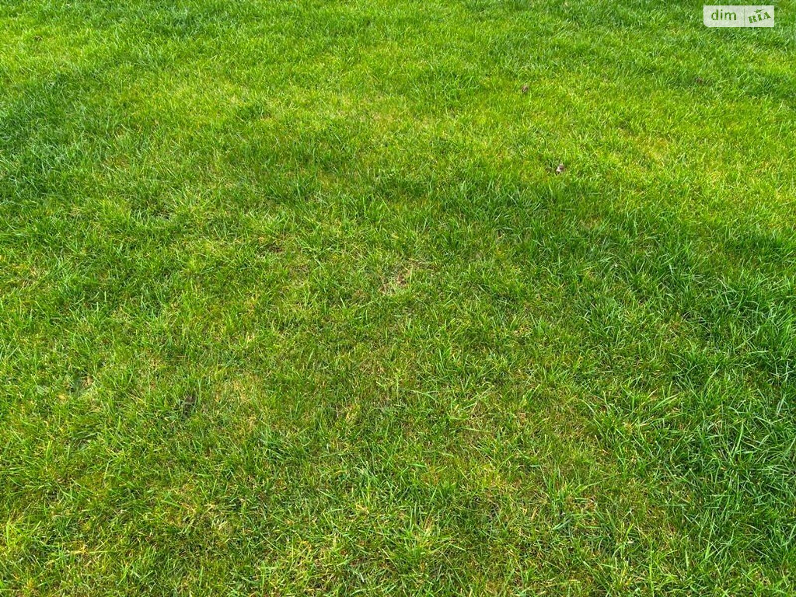 Оренда землі сільськогосподарського призначення в Покровському, ціна: 23 854 грн за об’єкт фото 1