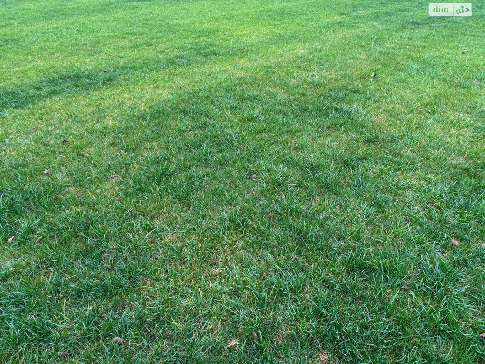 Оренда землі сільськогосподарського призначення в Покровському, ціна: 40 328 грн за об’єкт фото 1