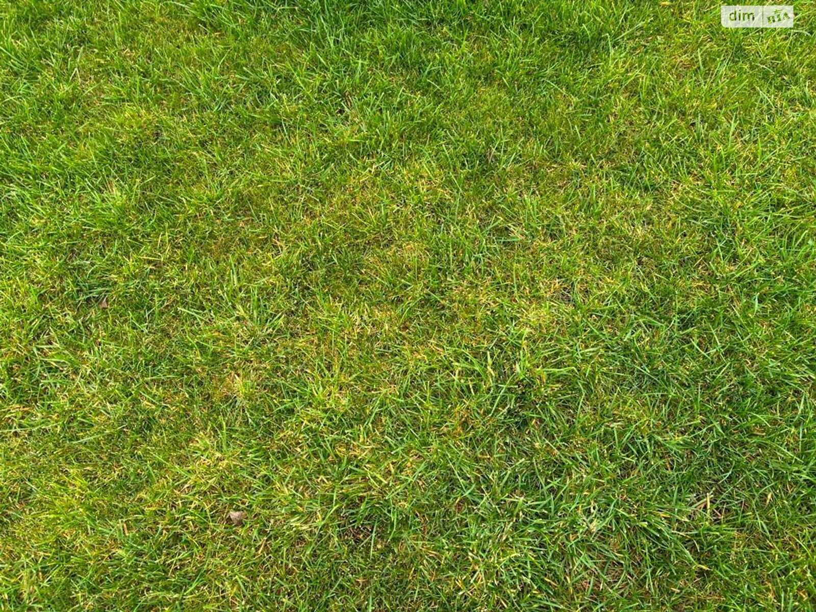 Оренда землі сільськогосподарського призначення в Покровському, ціна: 23 854 грн за об’єкт фото 1