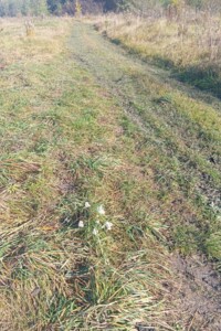 Аренда земли сельскохозяйственного назначения в Полонном, цена: 154 грн за объект фото 1