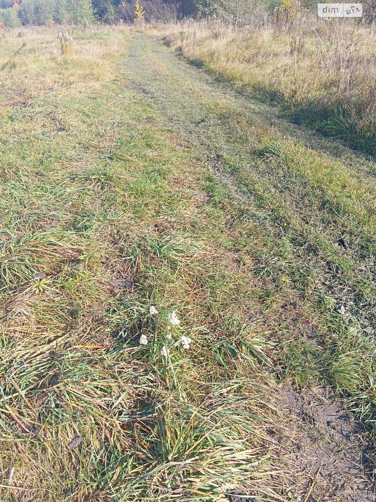 Аренда земли сельскохозяйственного назначения в Полонном, цена: 154 грн за объект фото 1