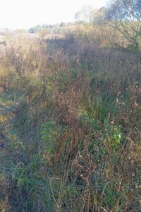 Оренда землі сільськогосподарського призначення в Полонному, ціна: 14 119 грн за об’єкт фото 1