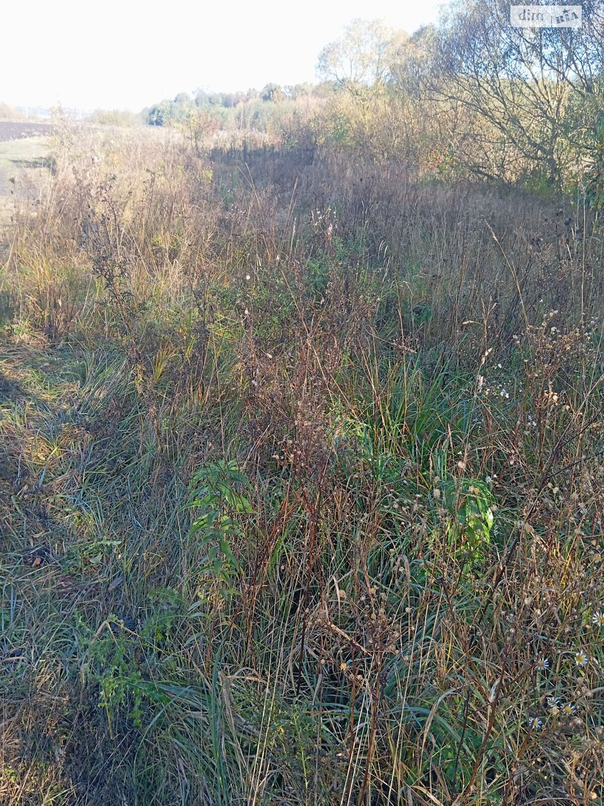 Оренда землі сільськогосподарського призначення в Полонному, ціна: 14 119 грн за об’єкт фото 1