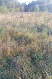 Оренда землі сільськогосподарського призначення в Полонному, ціна: 14 013 грн за об’єкт фото 1 Оренда землі сільськогосподарського призначення в Полонному, ціна: 14 013 грн за об’єкт фото 1