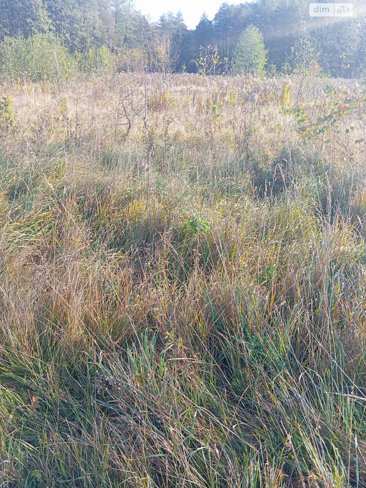 Оренда землі сільськогосподарського призначення в Полонному, ціна: 14 013 грн за об’єкт фото 1 Оренда землі сільськогосподарського призначення в Полонному, ціна: 14 013 грн за об’єкт фото 1