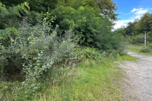 Аренда земли сельскохозяйственного назначения в Поляне, цена: 53 грн за объект фото 2