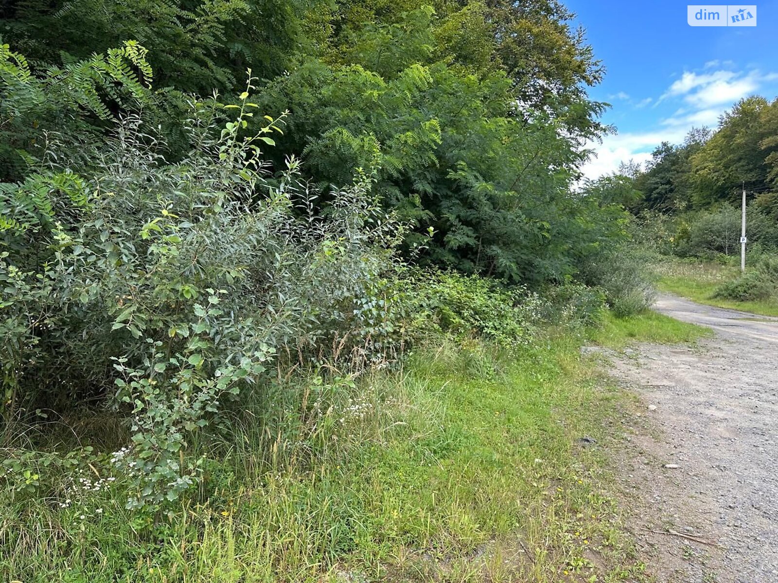 Аренда земли сельскохозяйственного назначения в Поляне, цена: 53 грн за объект фото 1