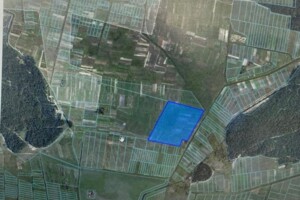 Аренда земли сельскохозяйственного назначения в Полянах, цена: 22 221 грн за объект фото 1 Аренда земли сельскохозяйственного назначения в Полянах, цена: 22 221 грн за объект фото 1