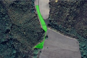 Оренда землі сільськогосподарського призначення в Поповці, ціна: 383 грн за об’єкт фото 1