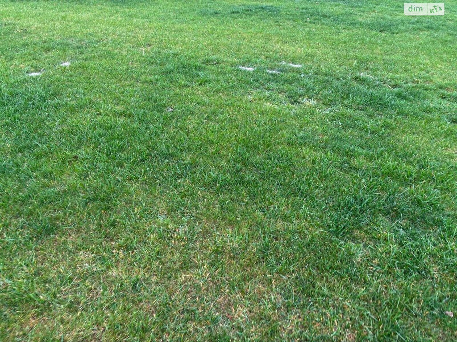 Оренда землі сільськогосподарського призначення в Приміське, ціна: 22 950 грн за об’єкт фото 1