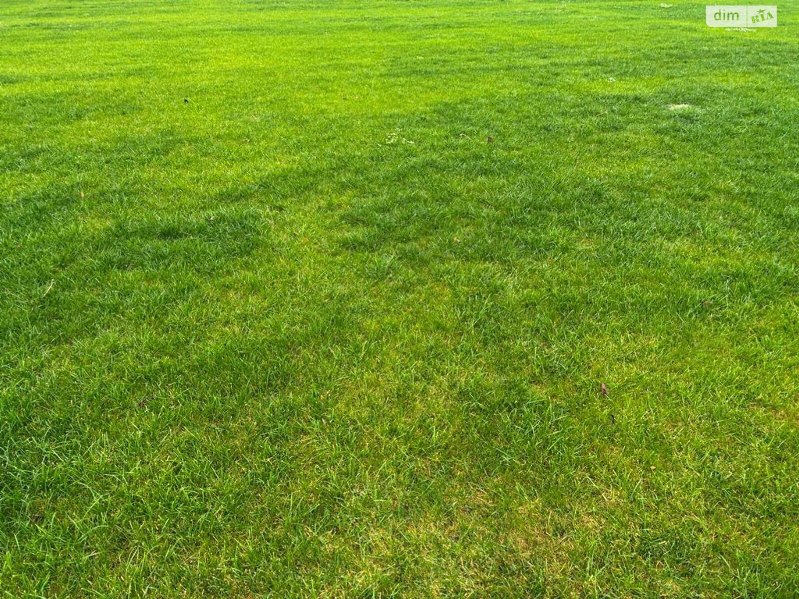 Оренда землі сільськогосподарського призначення в Приміське, ціна: 58 772 грн за об’єкт фото 1