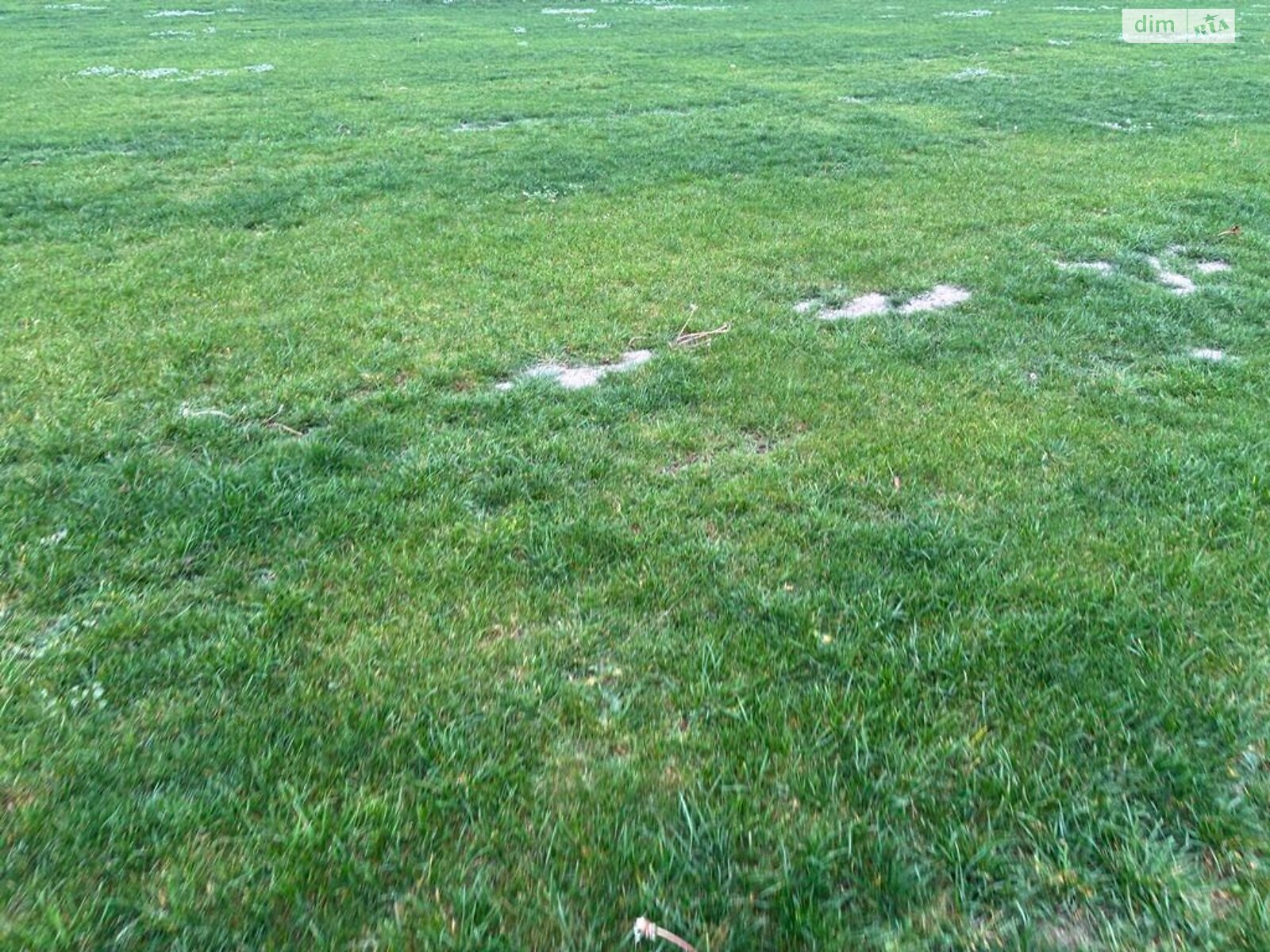 Оренда землі сільськогосподарського призначення в Приміське, ціна: 22 950 грн за об’єкт фото 1