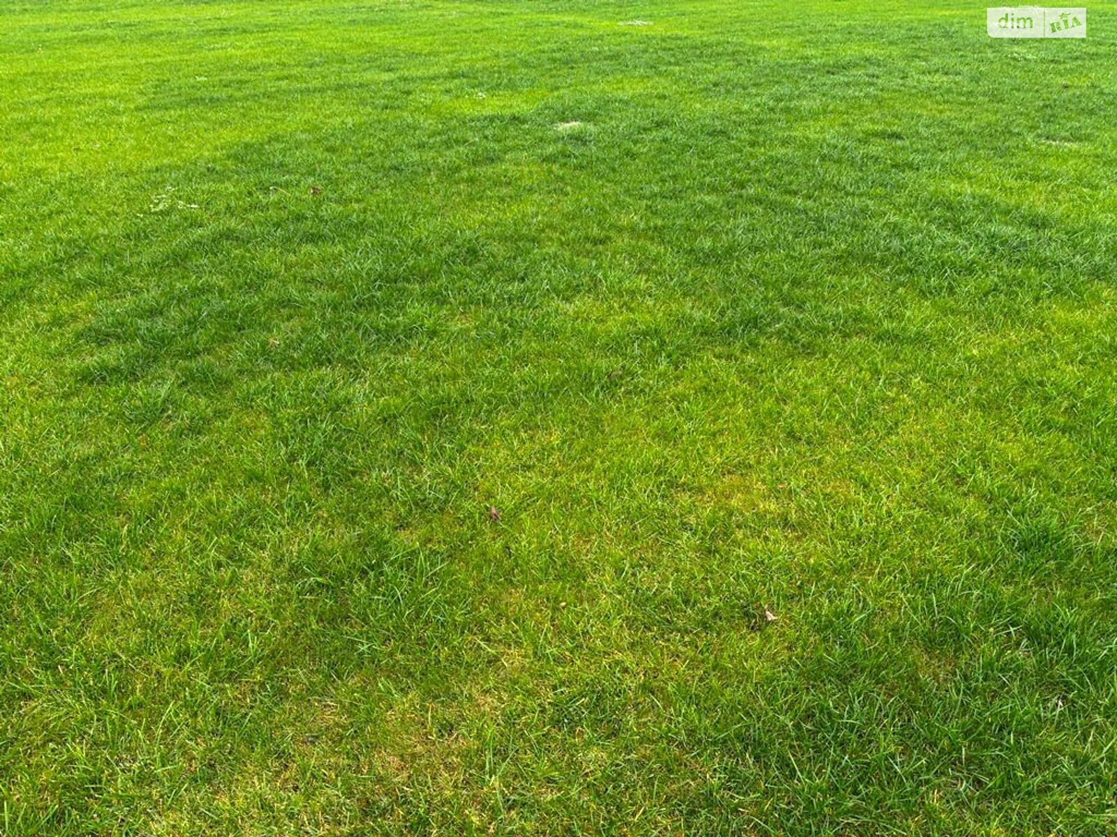 Оренда землі сільськогосподарського призначення в Приміське, ціна: 58 772 грн за об’єкт фото 1