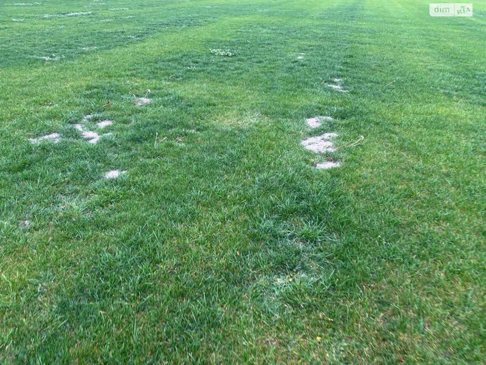 Оренда землі сільськогосподарського призначення в Приміське, ціна: 22 950 грн за об’єкт фото 1