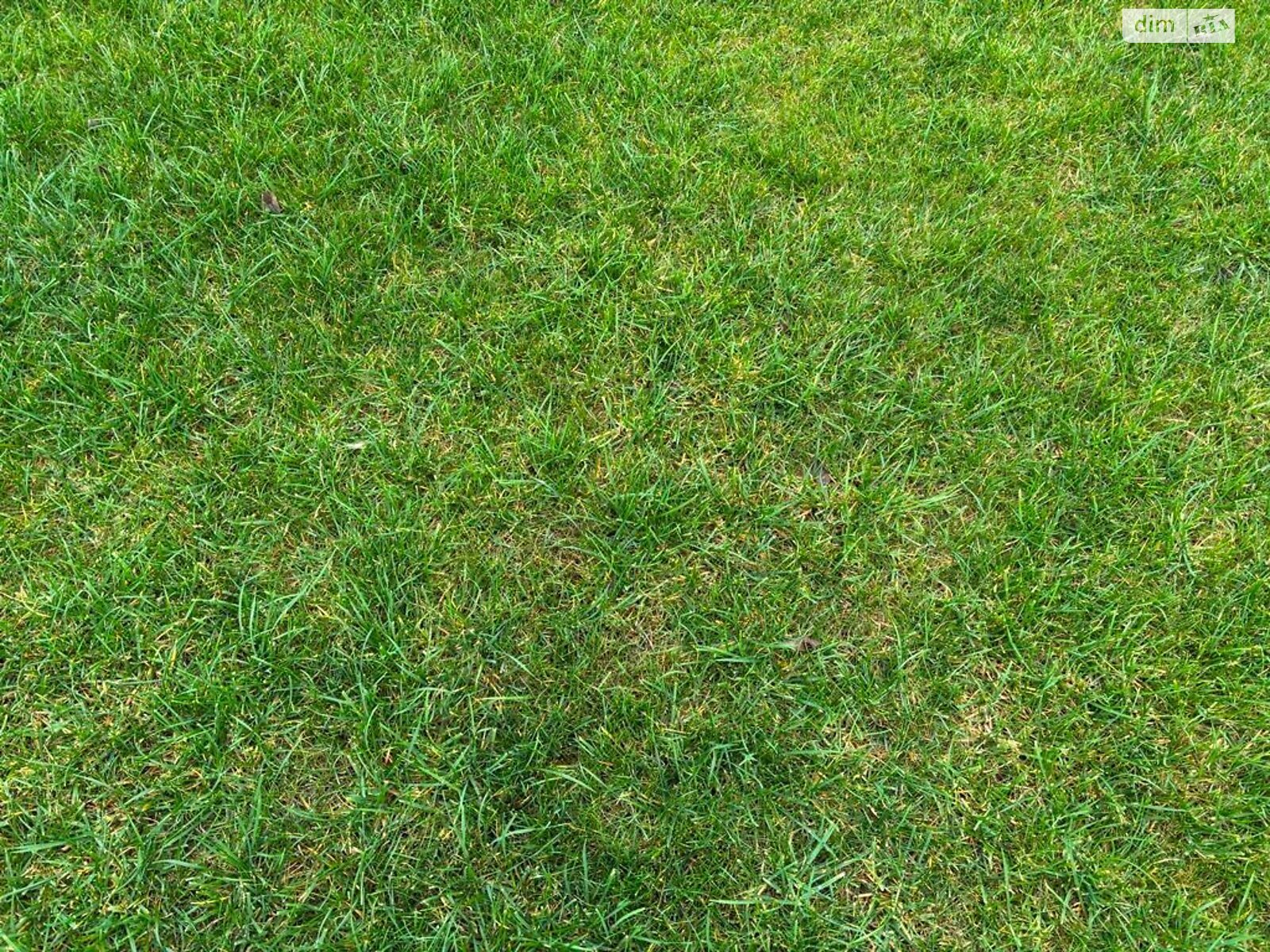 Оренда землі сільськогосподарського призначення в Приміське, ціна: 58 772 грн за об’єкт фото 1