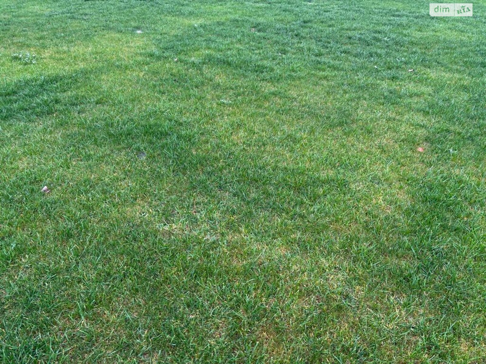 Оренда землі сільськогосподарського призначення в Приміське, ціна: 45 624 грн за об’єкт фото 1