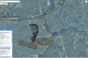 Оренда землі сільськогосподарського призначення в Прилесном, ціна: 17 089 грн за об’єкт фото 1