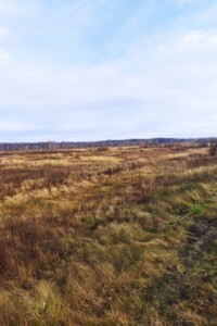 Аренда земли сельскохозяйственного назначения в Путиловичах, цена: 4 116 грн за объект фото 1