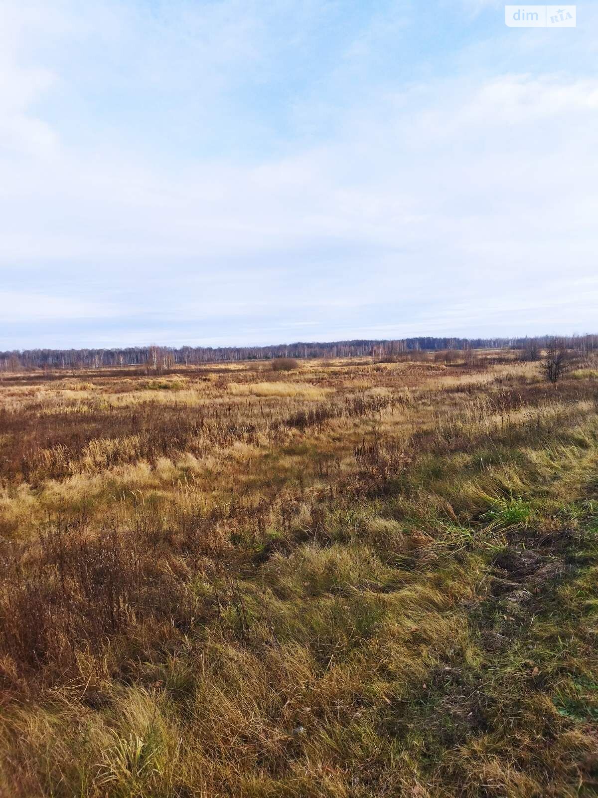 Аренда земли сельскохозяйственного назначения в Путиловичах, цена: 4 116 грн за объект фото 1