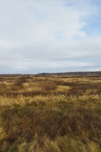 Оренда землі сільськогосподарського призначення в Путиловичах, ціна: 5 497 грн за об’єкт фото 1