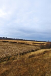 Оренда землі сільськогосподарського призначення в Путиловичах, ціна: 8 848 грн за об’єкт фото 1 Оренда землі сільськогосподарського призначення в Путиловичах, ціна: 8 848 грн за об’єкт фото 1