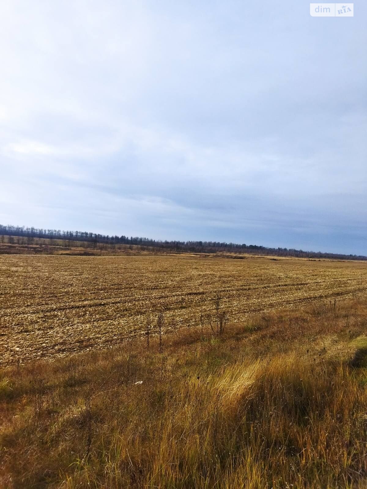 Аренда земли сельскохозяйственного назначения в Путиловичах, цена: 5 891 грн за объект фото 1
