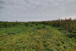 Оренда землі сільськогосподарського призначення в Радихівщині, ціна: 5 822 грн за об’єкт фото 2