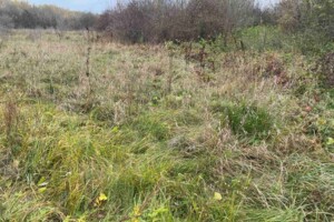 Оренда землі сільськогосподарського призначення в Речиці, ціна: 1 181 грн за об’єкт фото 1 Оренда землі сільськогосподарського призначення в Речиці, ціна: 1 181 грн за об’єкт фото 1