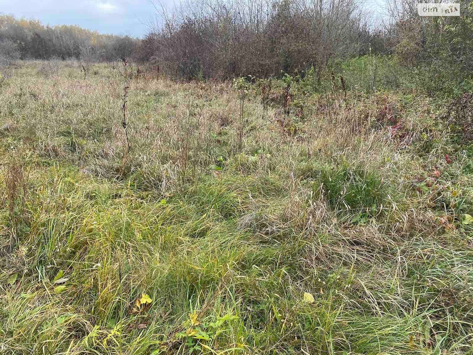 Оренда землі сільськогосподарського призначення в Речиці, ціна: 1 181 грн за об’єкт фото 1 Оренда землі сільськогосподарського призначення в Речиці, ціна: 1 181 грн за об’єкт фото 1