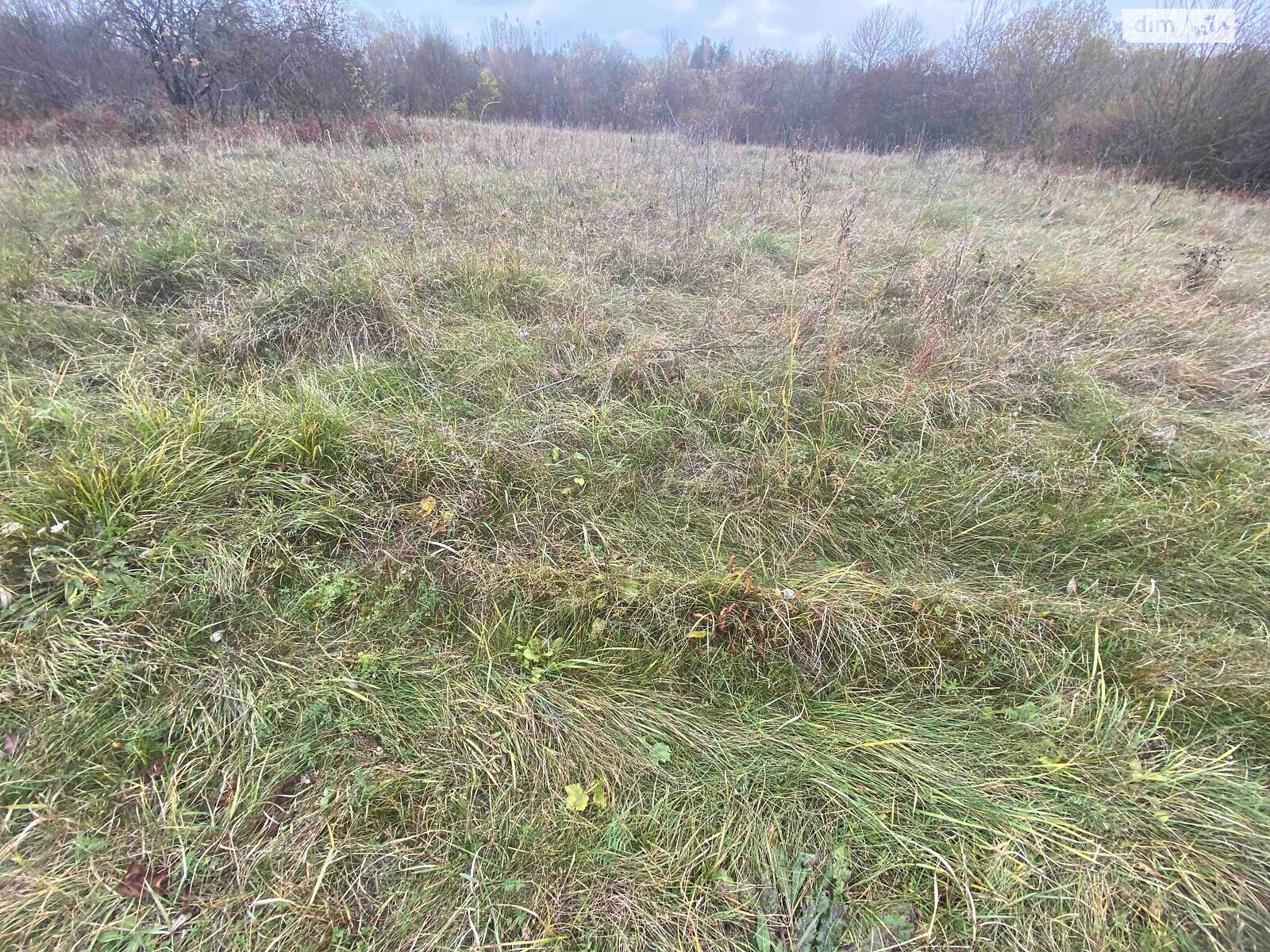 Оренда землі сільськогосподарського призначення в Речиці, ціна: 1 181 грн за об’єкт фото 1 Оренда землі сільськогосподарського призначення в Речиці, ціна: 1 181 грн за об’єкт фото 1