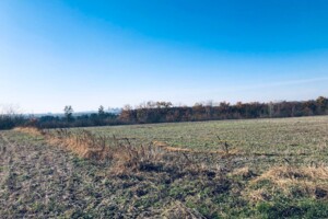 Оренда землі сільськогосподарського призначення в Репужинцях, ціна: 3 701 грн за об’єкт фото 1 Оренда землі сільськогосподарського призначення в Репужинцях, ціна: 3 701 грн за об’єкт фото 1