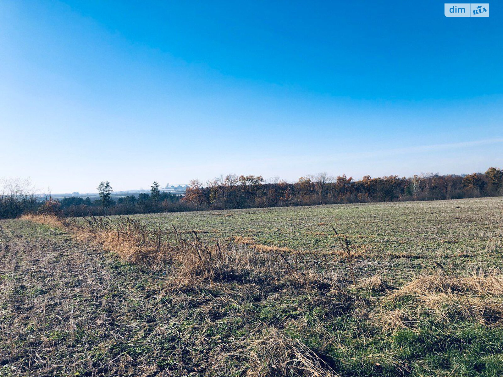 Оренда землі сільськогосподарського призначення в Репужинцях, ціна: 3 701 грн за об’єкт фото 1 Оренда землі сільськогосподарського призначення в Репужинцях, ціна: 3 701 грн за об’єкт фото 1