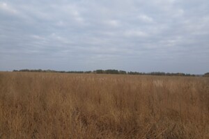 Аренда земли сельскохозяйственного назначения в Ржищеве, цена: 75 025 грн за объект фото 1