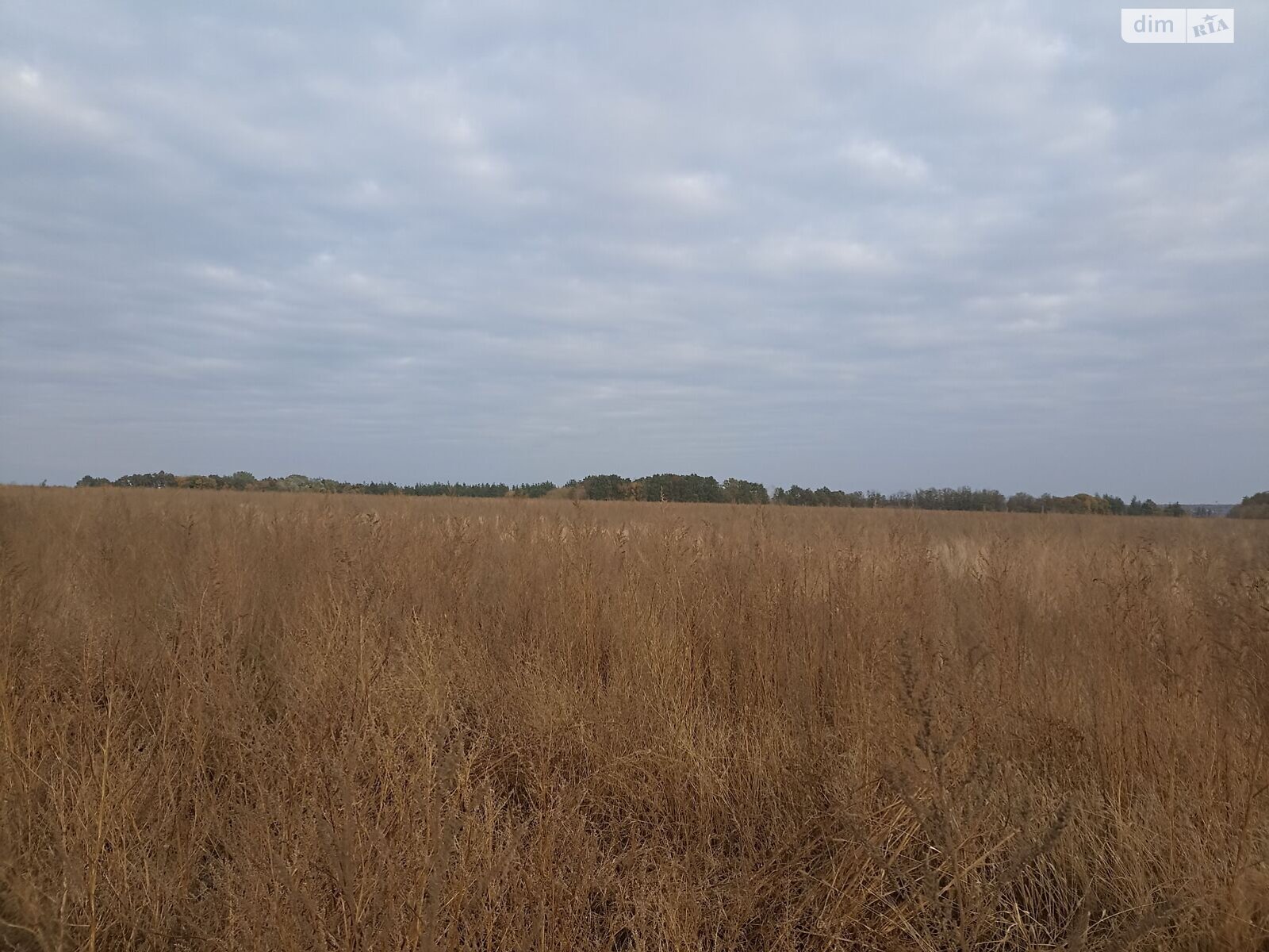 Аренда земли сельскохозяйственного назначения в Ржищеве, цена: 75 025 грн за объект фото 1